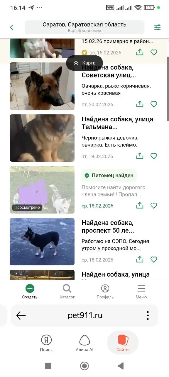 Питомец найден - Животные в Саратов