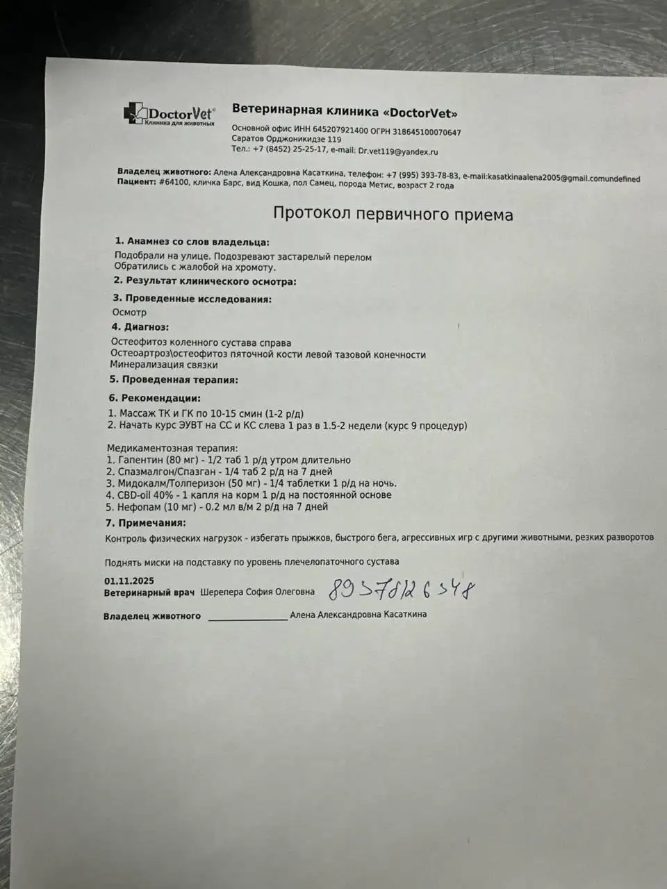 Сбор средств на лечение кота Барса - Животные в Саратов