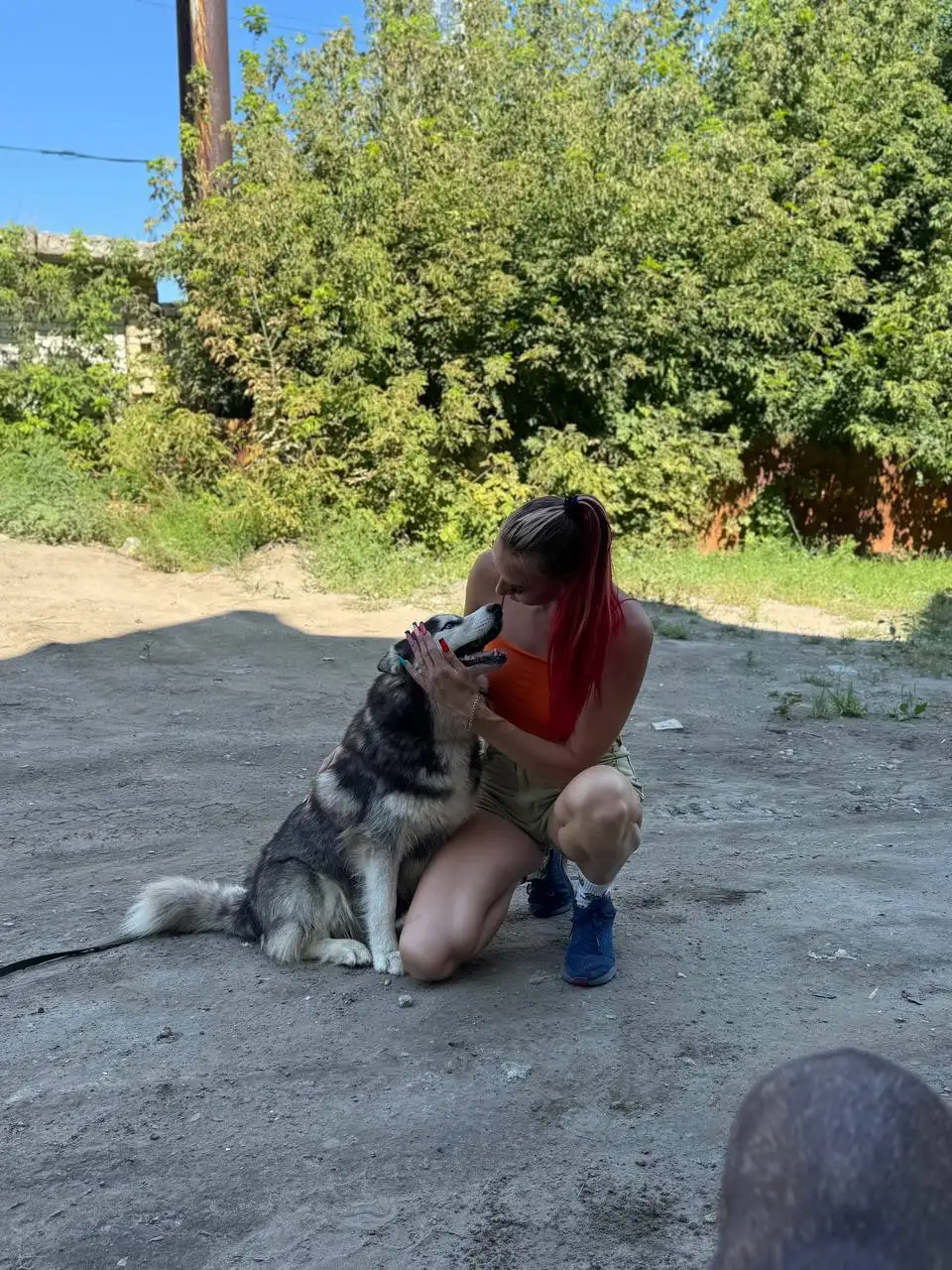 Рокси ищет дом - Собаки (Животные) в Саратов