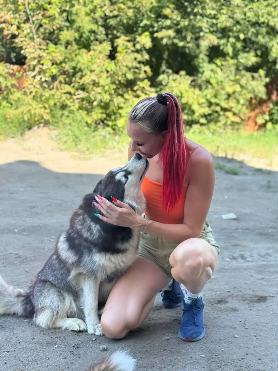 Рокси ищет дом - Собаки (Животные) в Саратов