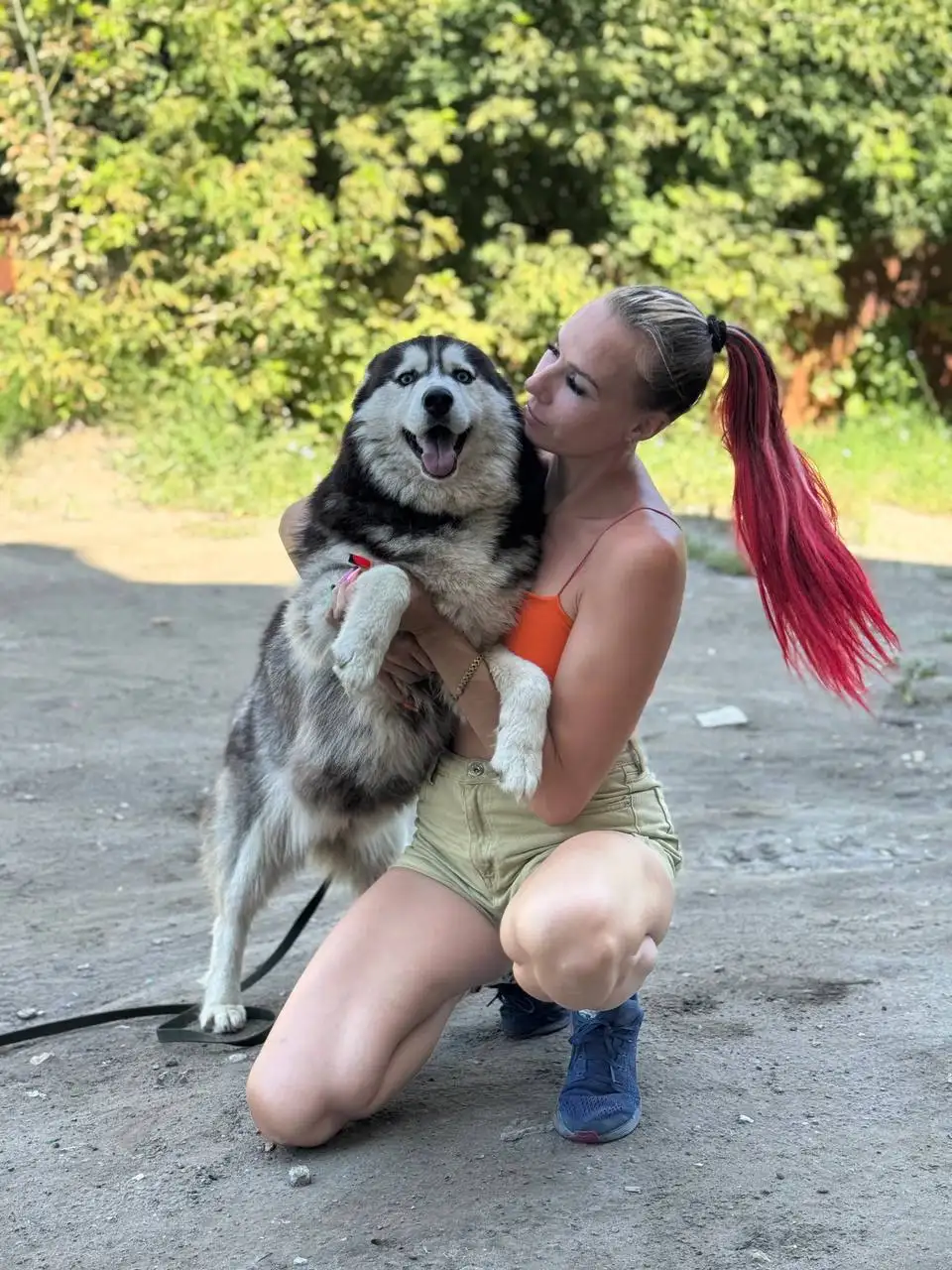 Рокси ищет дом - Собаки (Животные) в Саратов