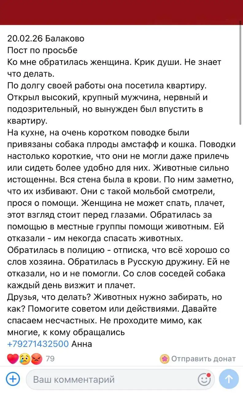 Потерянные животные в Саратове - Потерянные животные (Животные) в Саратов