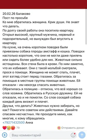 Потерянные животные в Саратове - Животные в Саратов