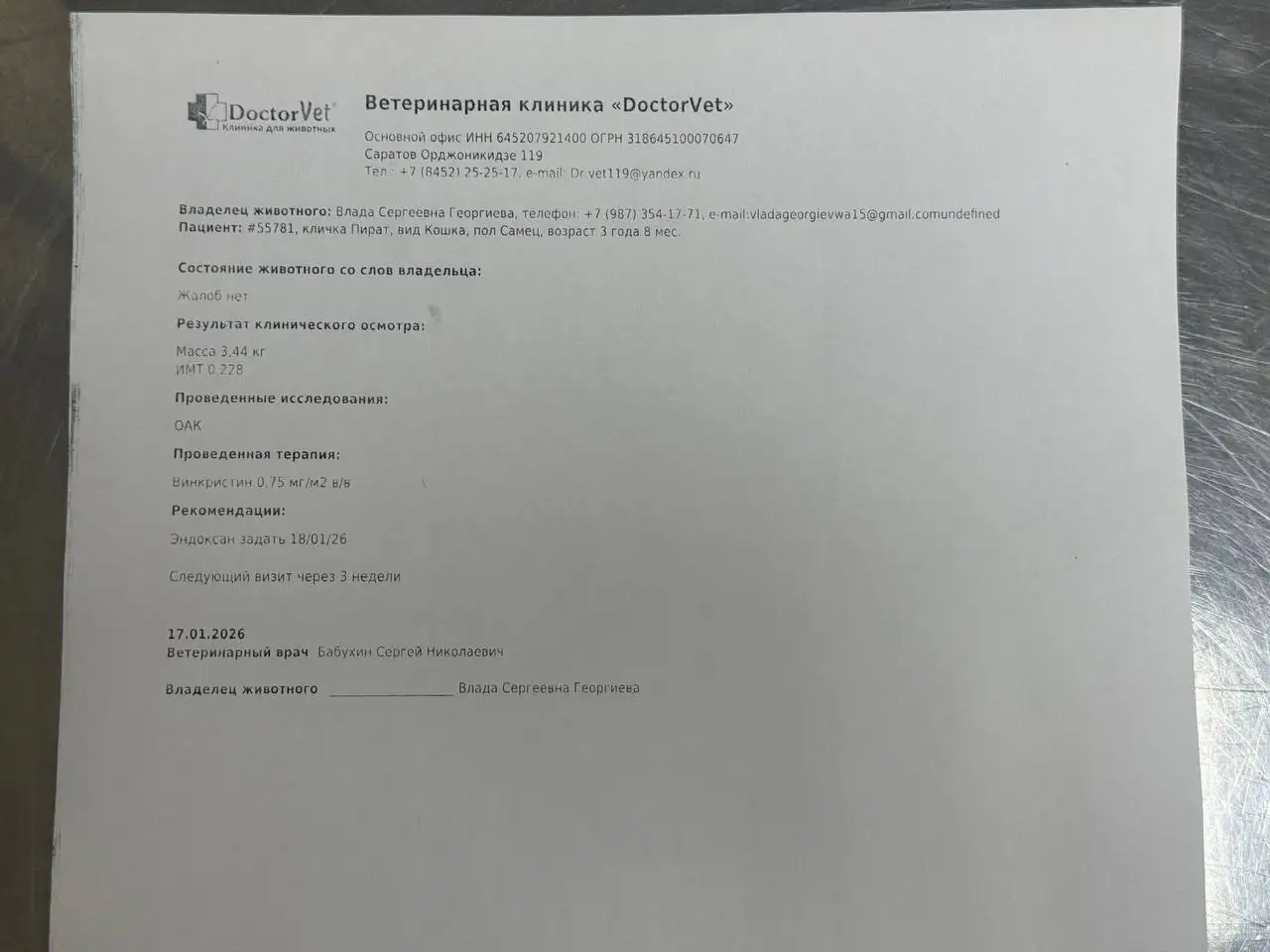 Сбор на химиотерапию для Пирата - Животные в Саратов