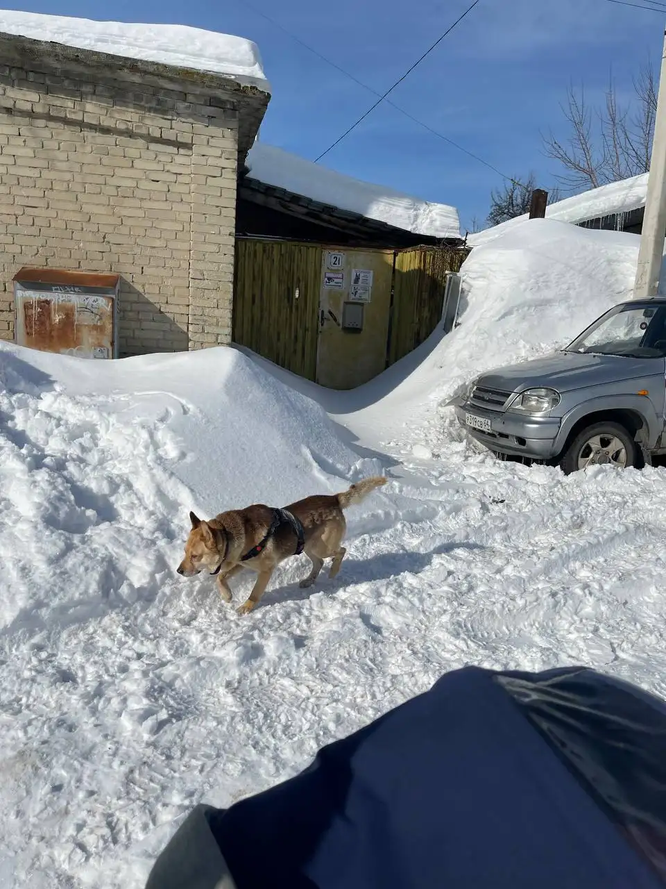 Потерянные детские проездные билеты в Саратове - Потерянные вещи (Барахолка) в Саратов