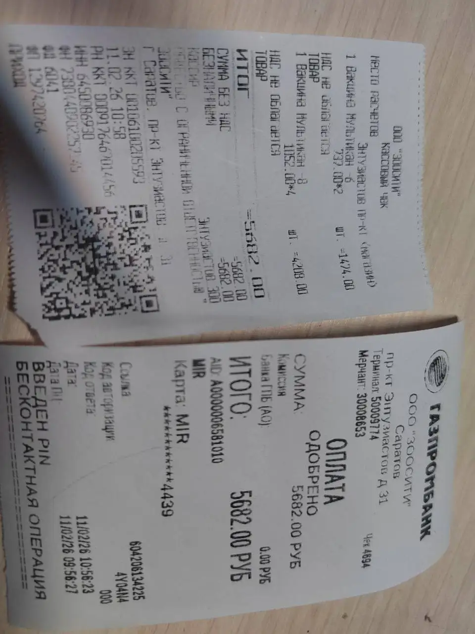 Передержка и лечение щенка Симы - Передержка и лечение (Животные) в Саратов