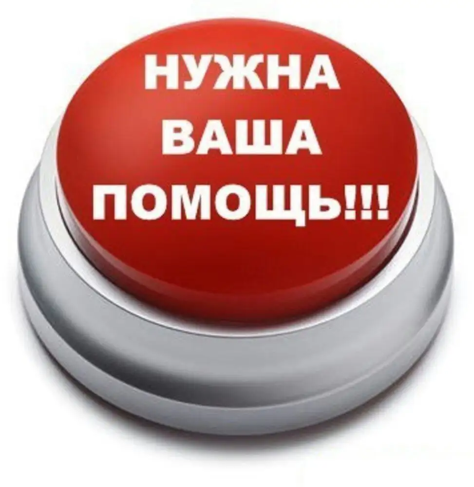 Финотчет по собаке с Лебедева-Кумача - Животные в Саратов