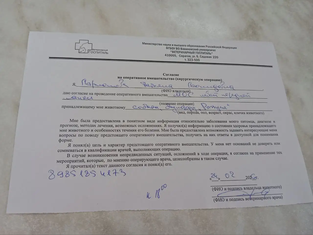 Финотчет по собаке с Лебедева-Кумача - Животные в Саратов