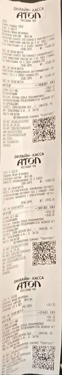 Помощь котику Гуффи в лечении остеомиелита и ВЛК - Коты (Животные) в Саратов