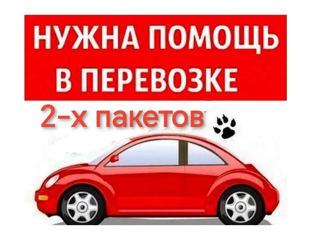 Нужен автокурьер для доставки пакетов для животных на передержку - Курьерские услуги (Услуги) в Саратов
