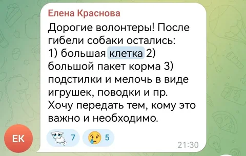 Потерянные животные в Саратове - частное объявление в Саратов
