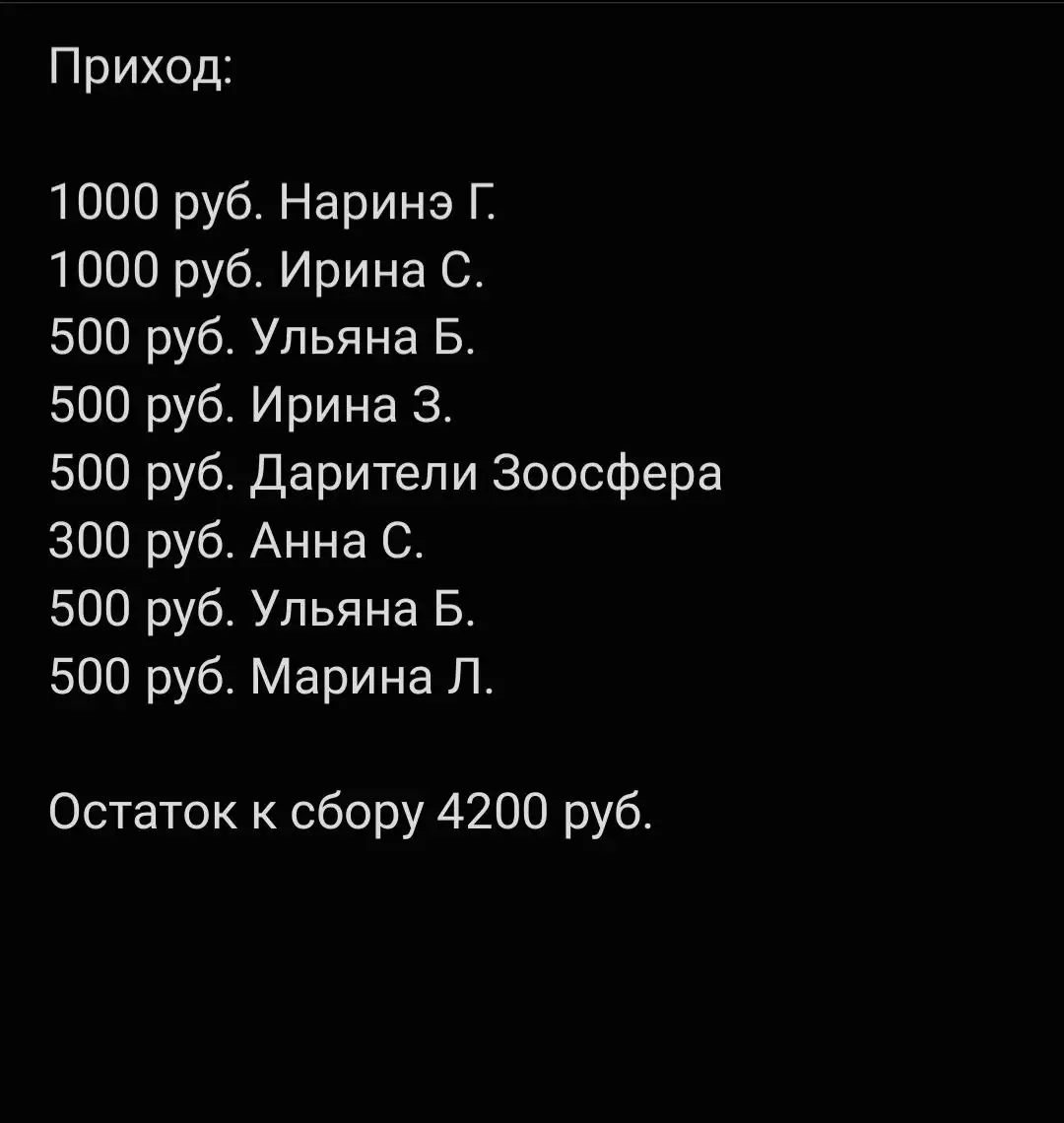 Сбор средств на передержку для собаки Бруно - Передержка (Животные) в Саратов