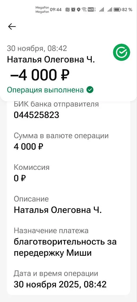 Отчёт по сбору средств на животных - Животные в Саратов