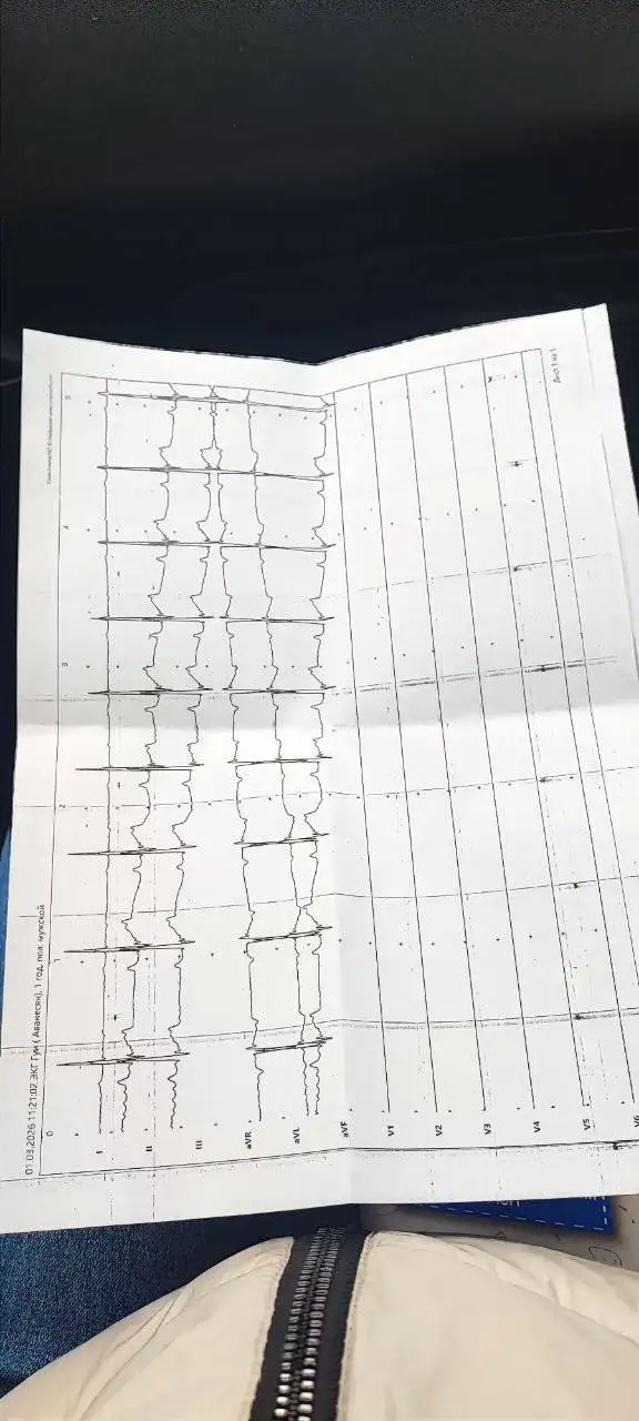 Сбор средств на передержку и лечение кота Гуфи - Передержка/Лечение (Животные) в Саратов