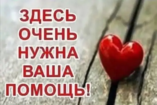 Собачка нуждается в стерилизации и передержке - Животные в Саратов