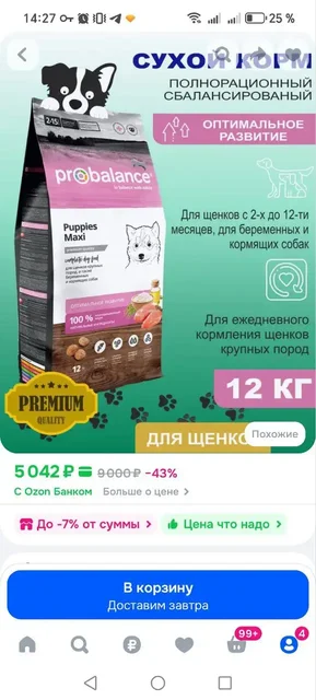 Передержка животных в Саратове - Потерянные/найденные в Саратов