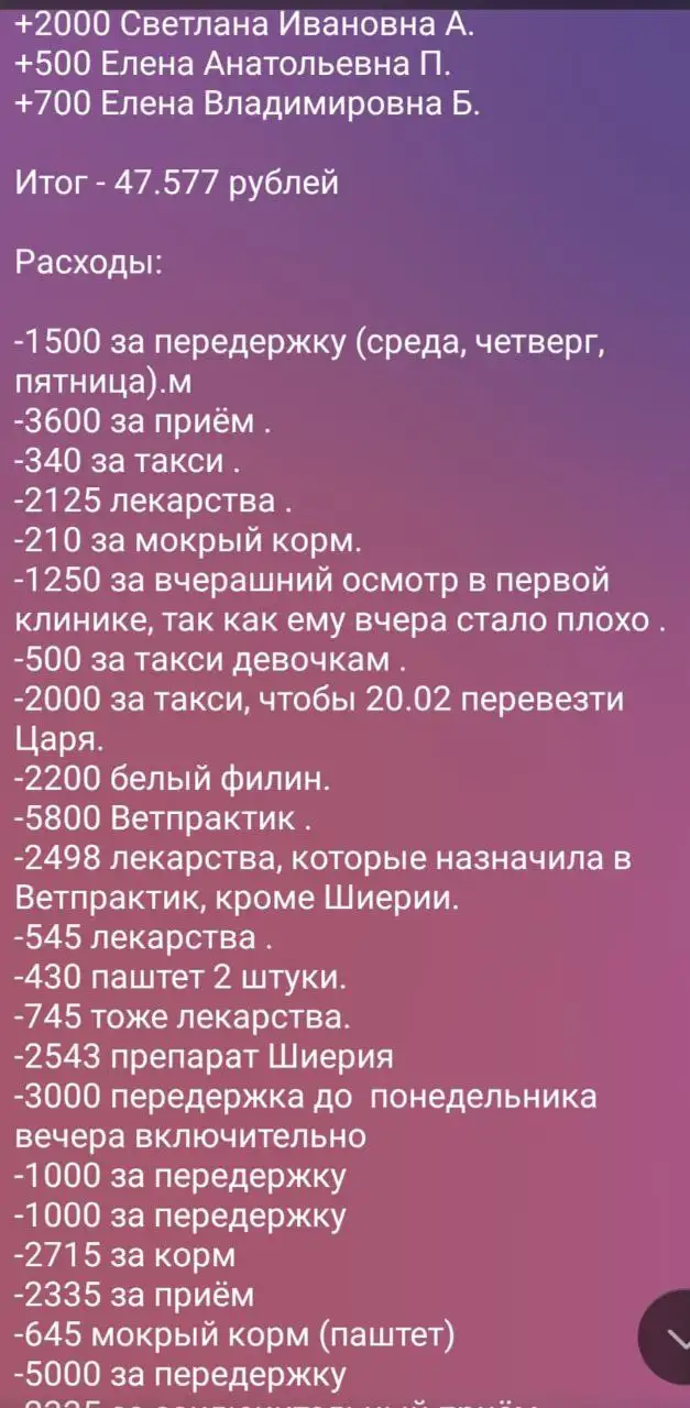Сбор на Царевича - благотворительность для животного - Благотворительность (Животные) в Саратов