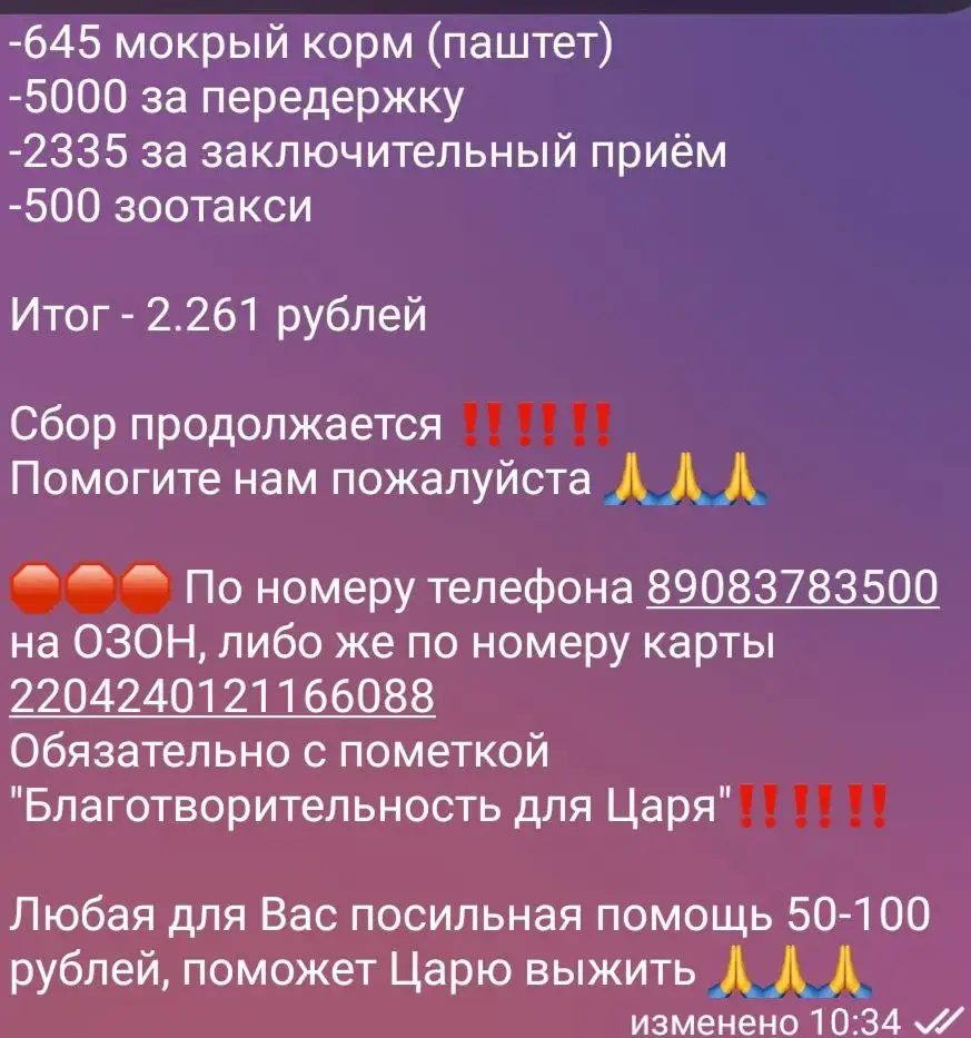 Сбор на Царевича - благотворительность для животного - Благотворительность (Животные) в Саратов