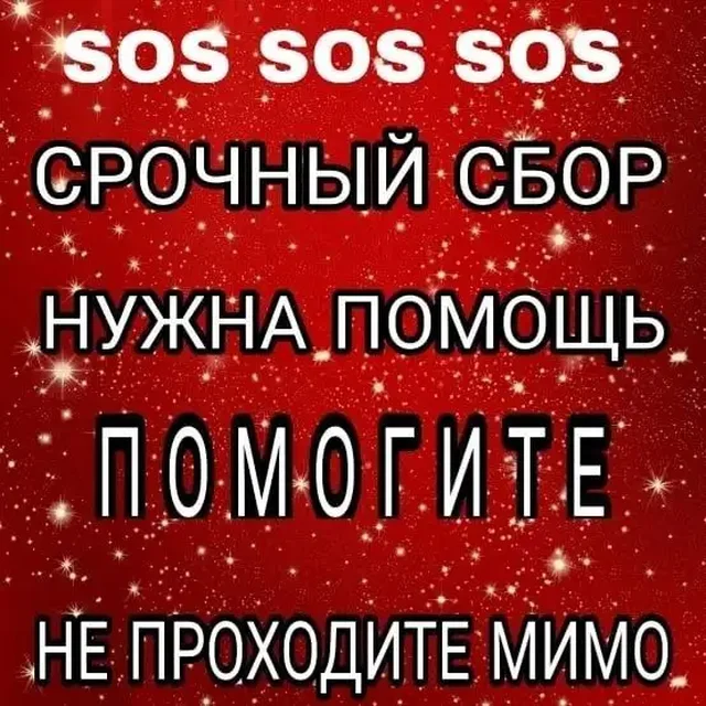 Экстренный сбор на спасение бездомного пса в Саратове - Потерянные/найденные в Саратов