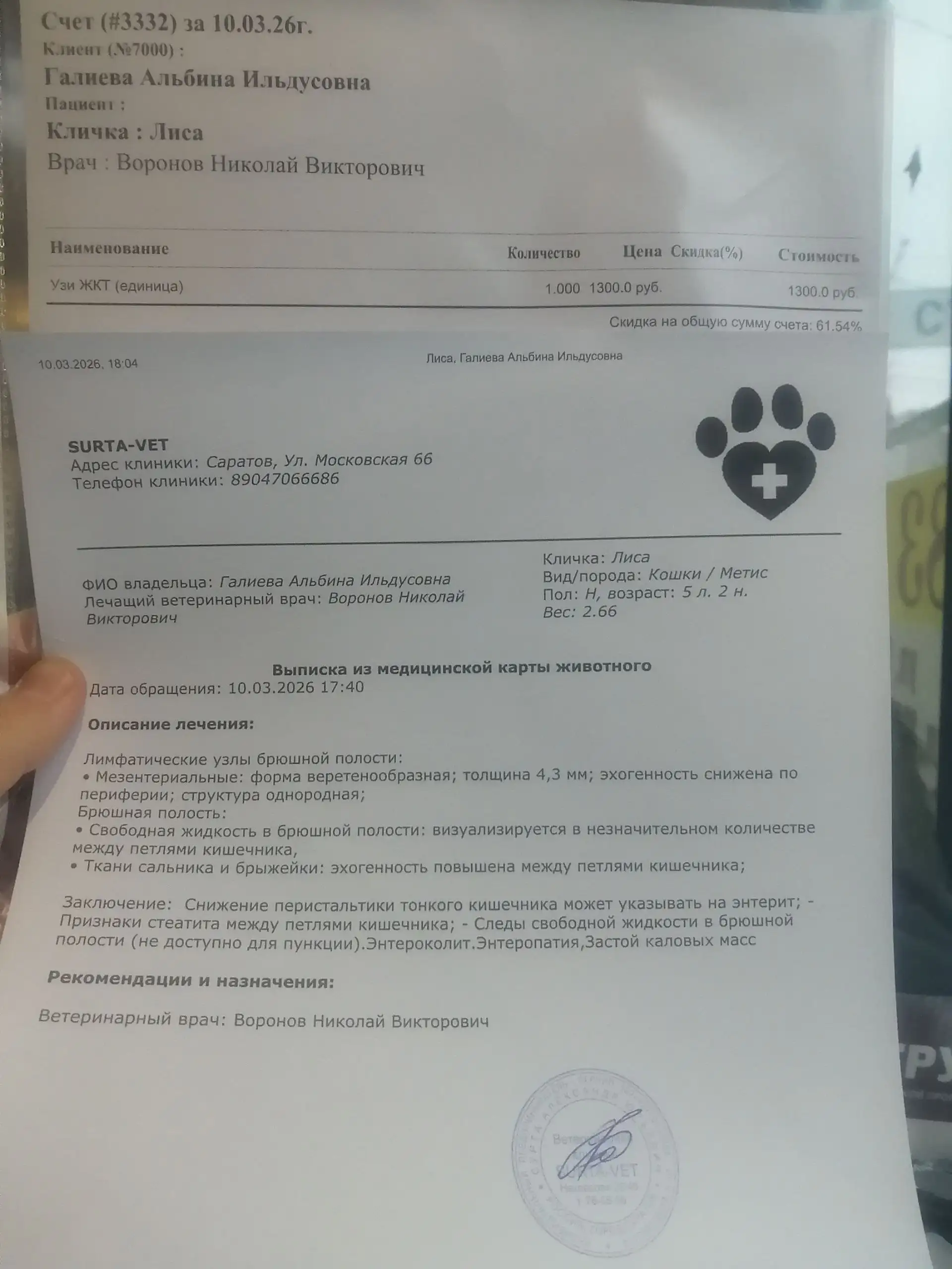 Сбор средств на лечение животного после недоброкачественной передержки - Ветеринарные услуги в Саратов