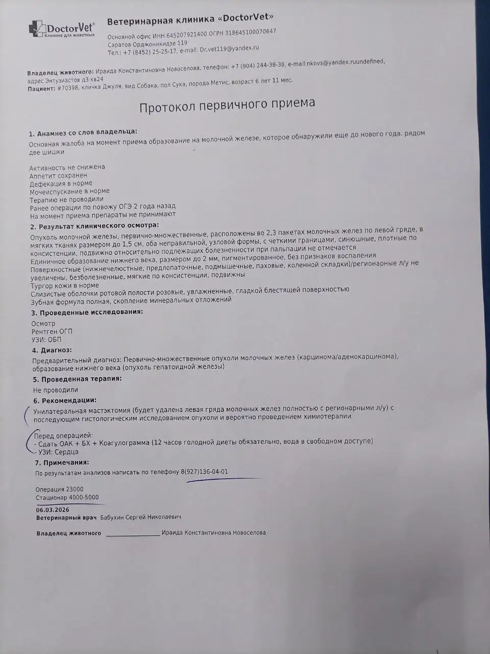 Сбор средств на операцию собаке Джуле - Животные в Саратов