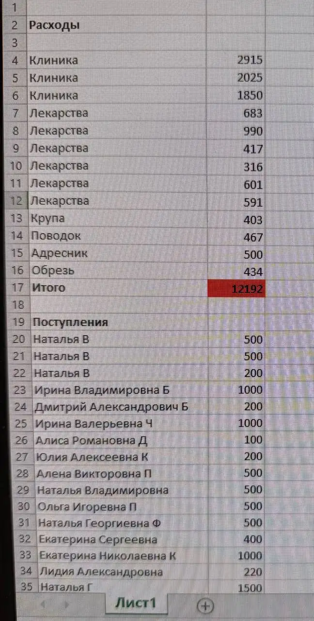 Сбор средств на лечение собаки Айс - Собаки (Животные) в Саратов
