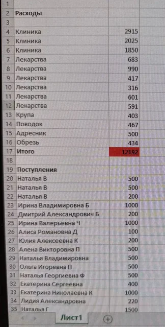 Сбор средств на лечение собаки Айс - Благотворительность/Помощь в Саратов