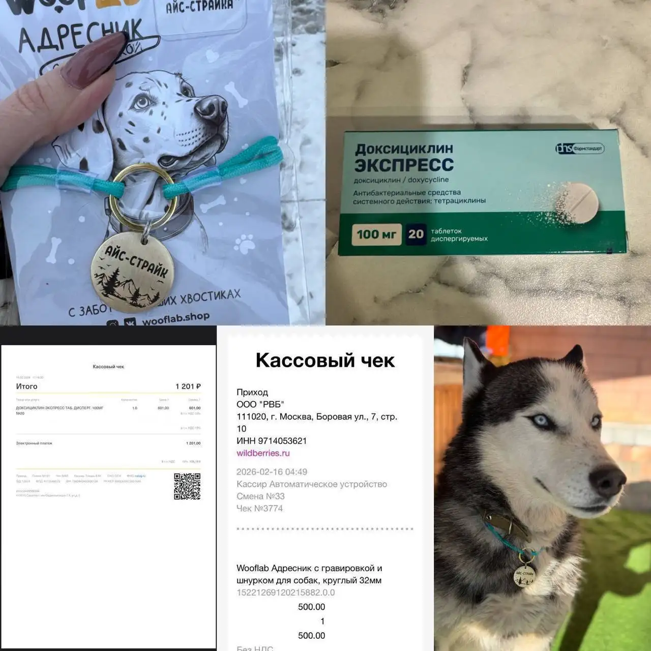 Сбор средств на лечение собаки Айс - Собаки (Животные) в Саратов