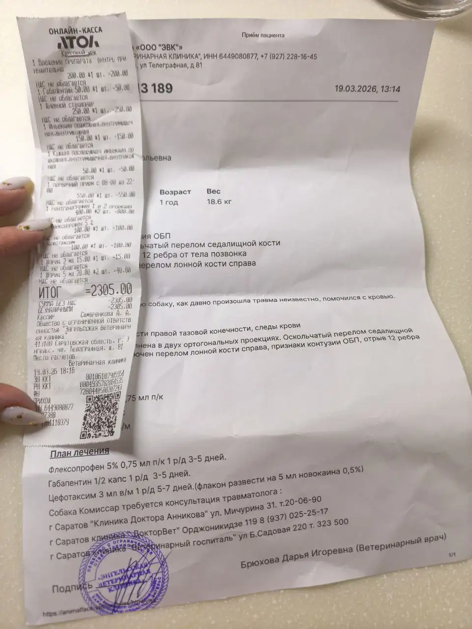 Сбор средств на операцию для сбитой собаки Комиссар - Благотворительность (Животные) в Энгельс