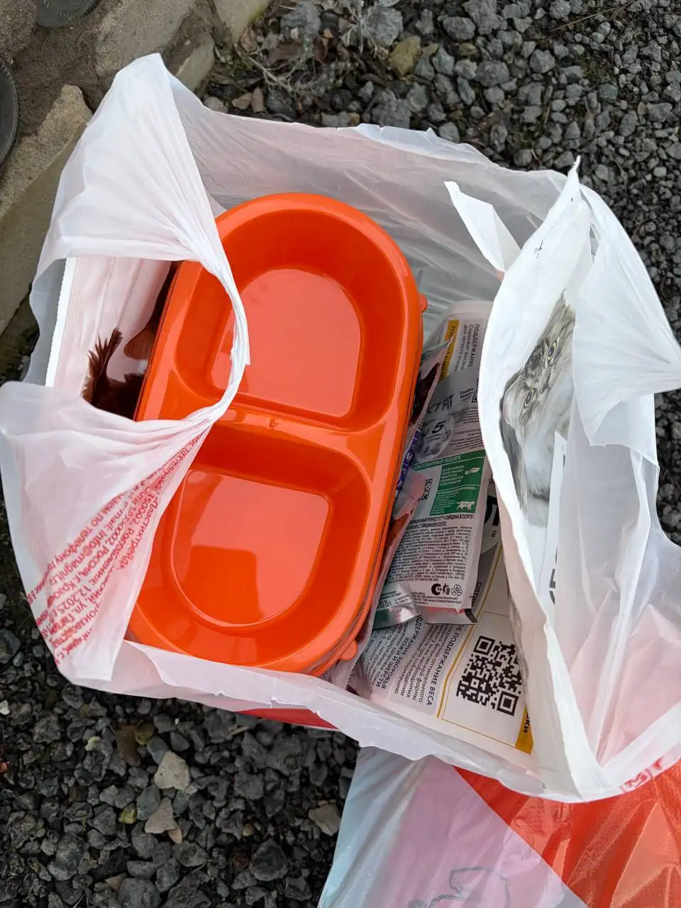 Отчет по Матрешке: сбор средств для погашения долга за лечение животных - Животные в Саратов