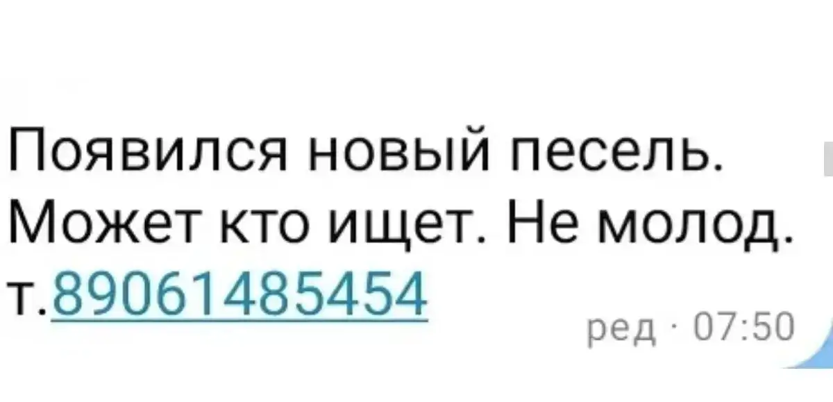 Потерянные животные в Саратове - Поиск животных (Животные) в Саратов