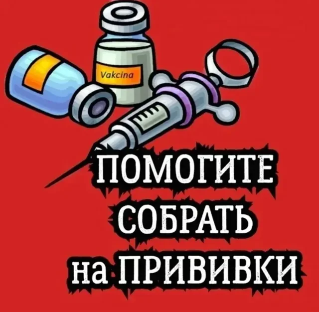 Сбор на вакцины для собак из Красного Октября - Благотворительный сбор в Саратов