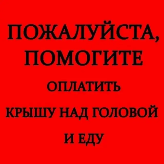 Сбор на корм и передержку для кошки Нюши - Кошки (Животные) в Саратов