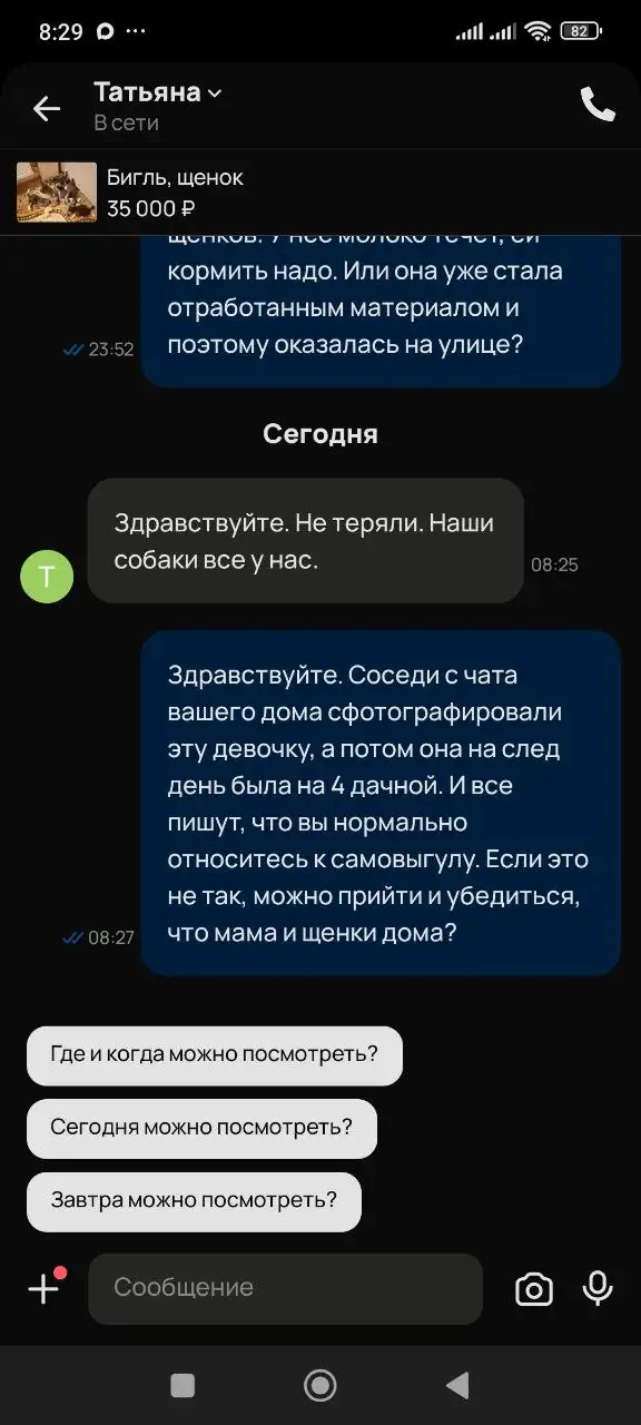 Потеряшки в Саратове - Потеряшки (Животные) в Саратов