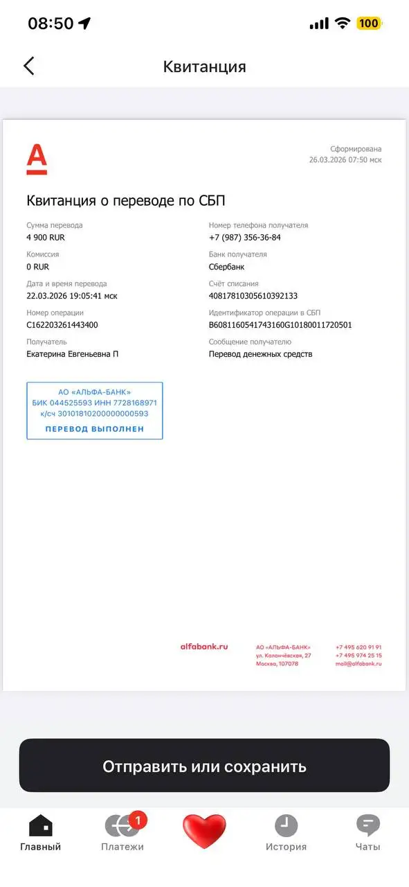 Сбор средств на лечение и передержку кабачка после ДТП - Передержка/Приют в Саратов