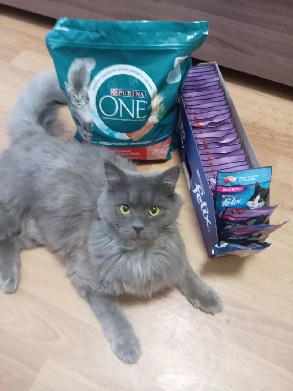 Сбор на корм для животных - Корм для животных (Животные) в Саратов