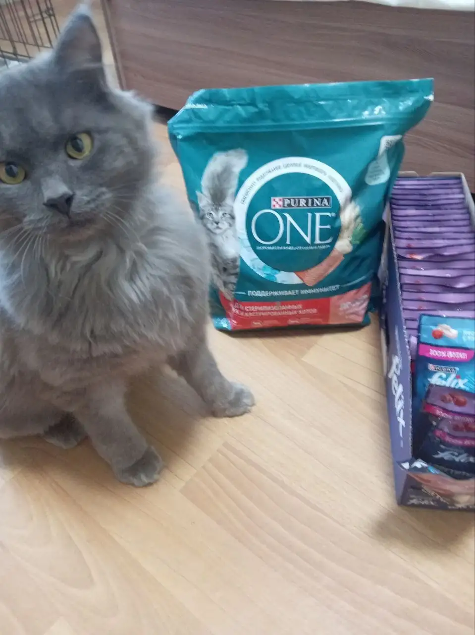 Сбор на корм для животных - Корм для животных (Животные) в Саратов