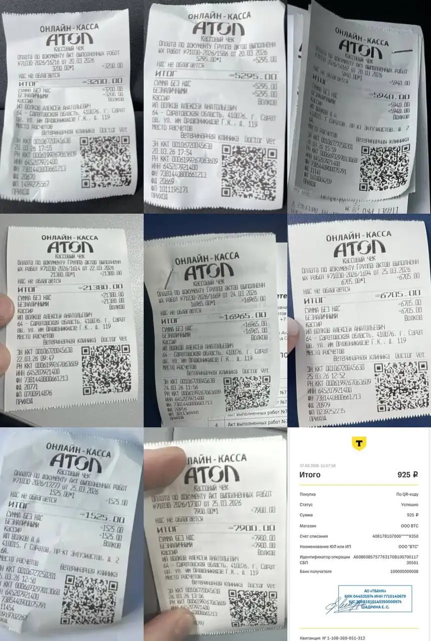 Реабилитация собаки Урана после стационара - Животные в Саратов