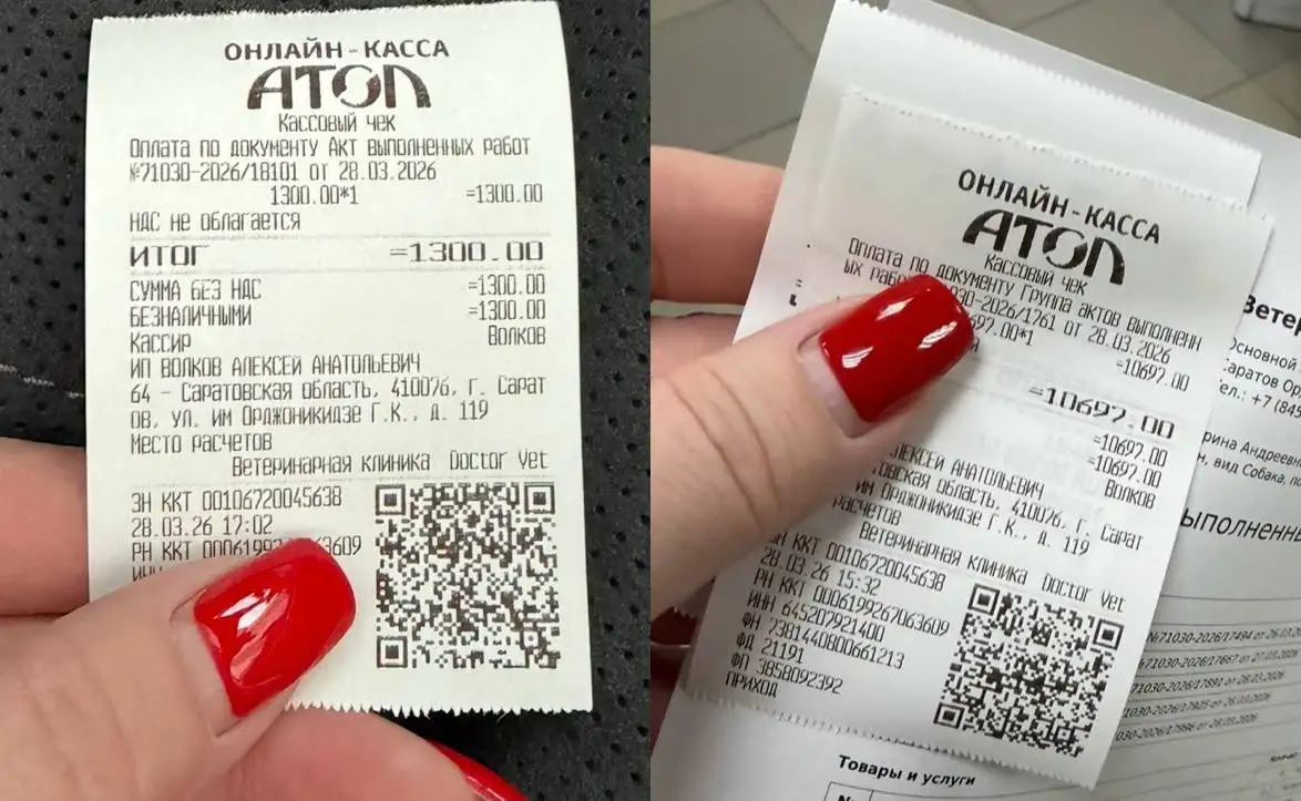 Реабилитация собаки Урана после стационара - Животные в Саратов