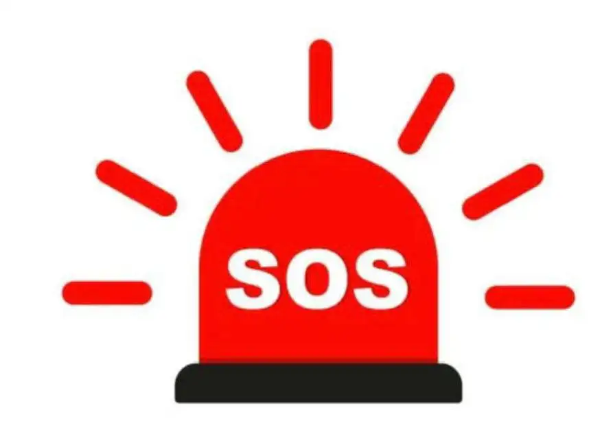 Срочно нужен дом для кошечки в Саратове - Кошки (Животные) в Саратов