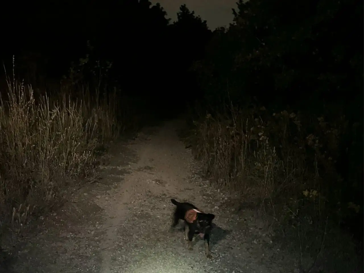 Поиск пропавшего 78-летнего Виктора Егоровича Пипунырова в Саратове - Поисковые услуги (Услуги) в Саратов