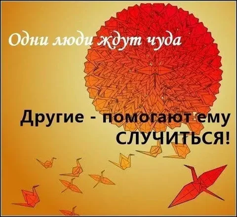 Помощь в закрытии сбора Тиши - Сбор средств в Саратов