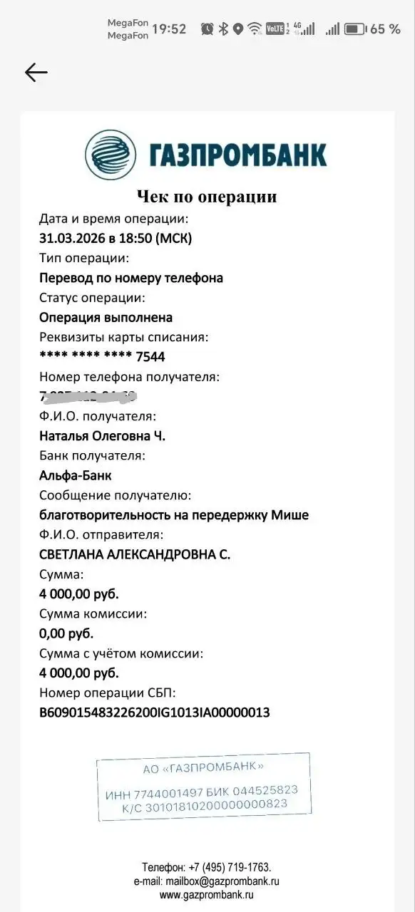 Отчет по сбору средств на животных - Животные в Саратов