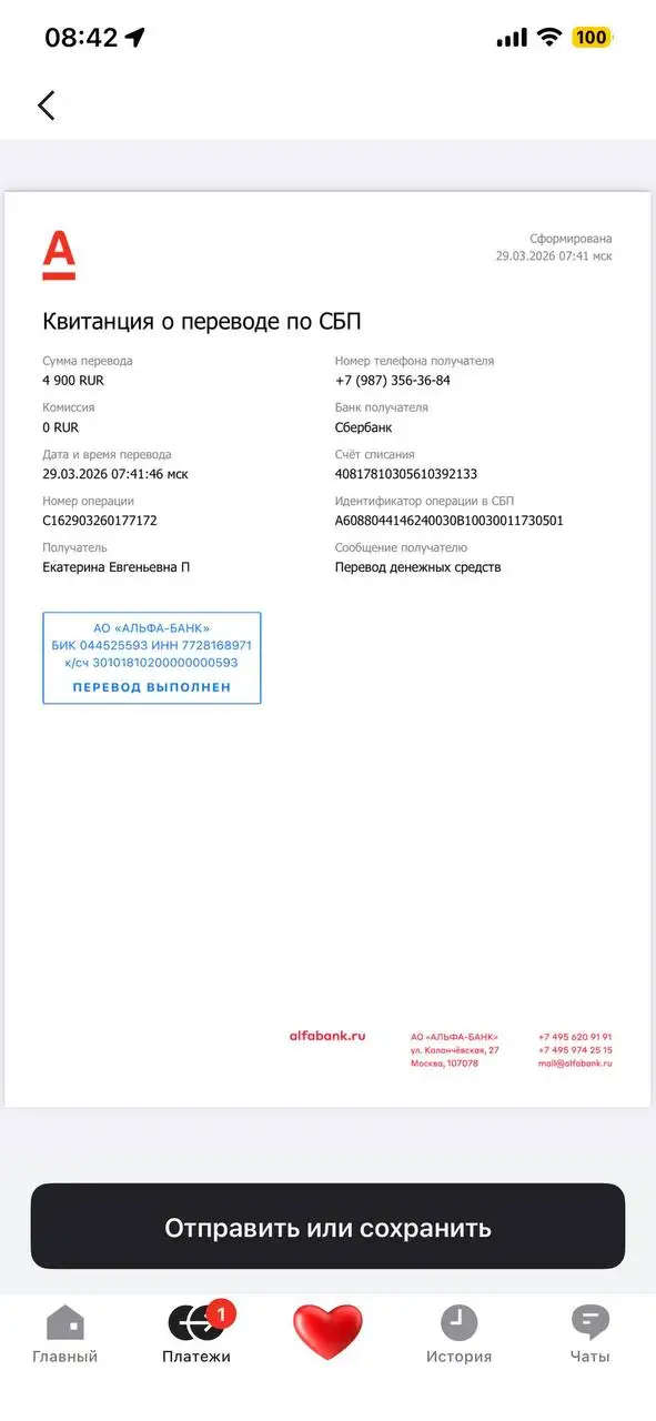 Помощь в восстановлении кабачка после ДТП в Саратове - Благотворительность (Животные) в Саратов