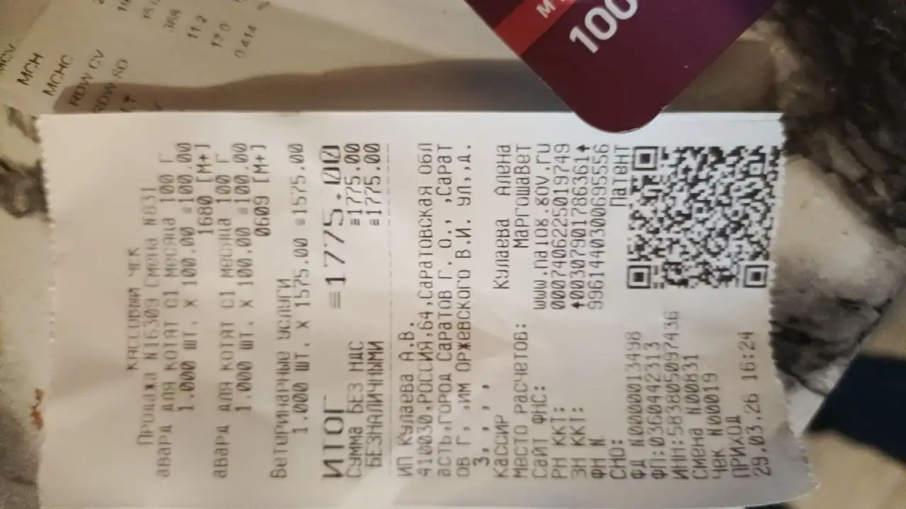 Лечение котят с просьбой о помощи - Животные в Саратов