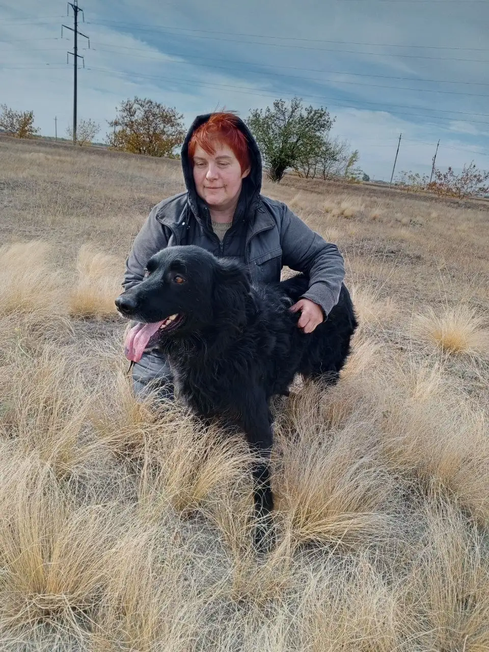 Помощь собаке Ночке с оплатой передержки - Собаки (Животные) в Саратов